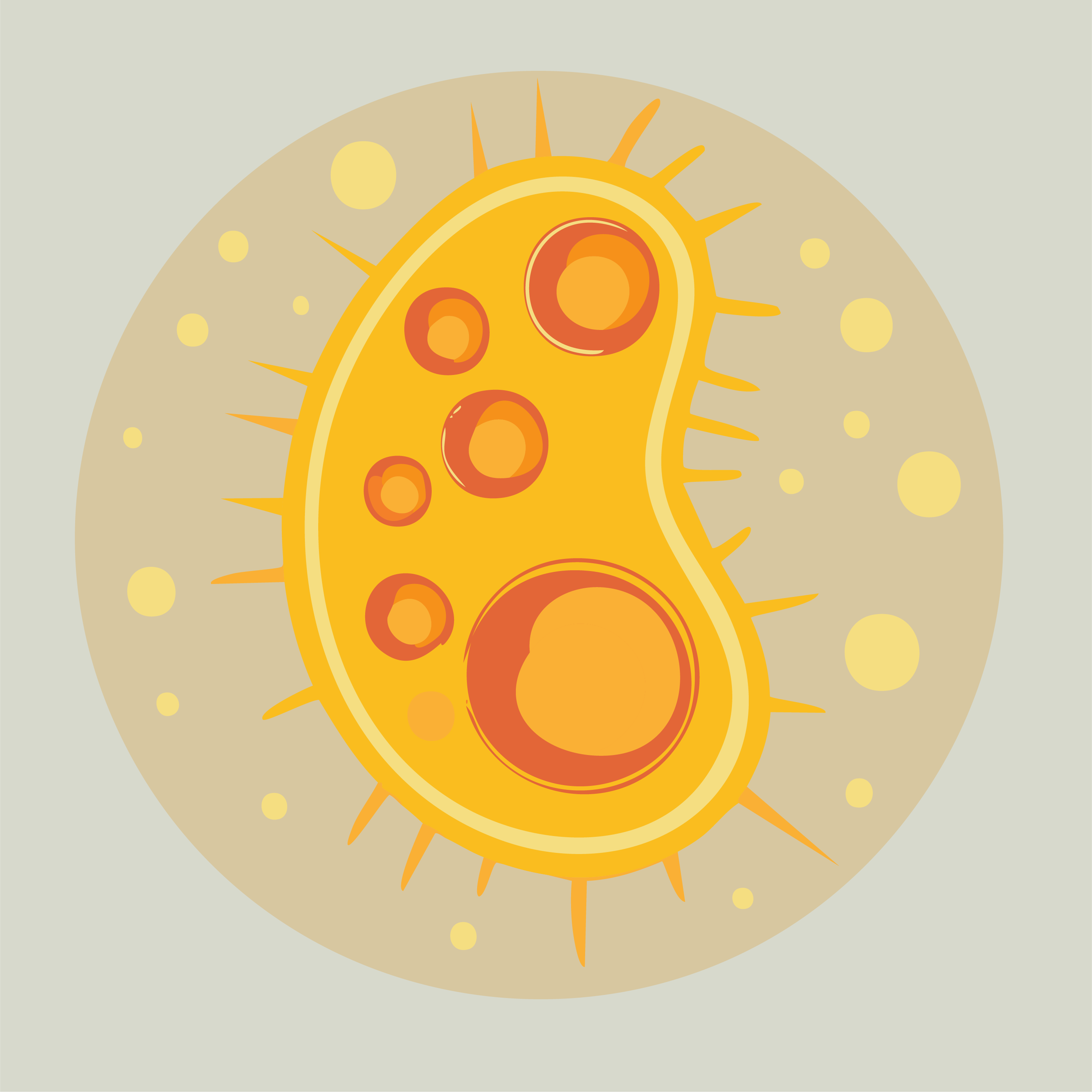 Mitochondrial Health